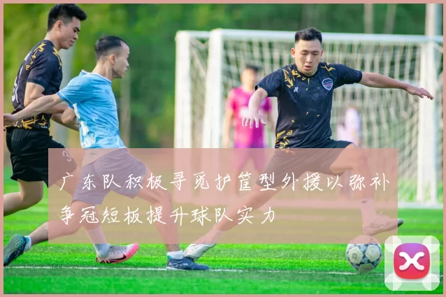 广东队积极寻觅护筐型外援以弥补争冠短板提升球队实力